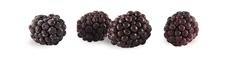 BLACKBERRY_IMG